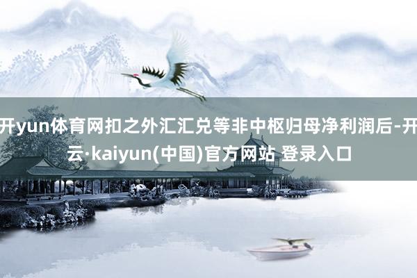 开yun体育网扣之外汇汇兑等非中枢归母净利润后-开云·kaiyun(中国)官方网站 登录入口